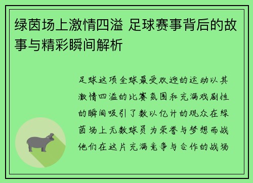 绿茵场上激情四溢 足球赛事背后的故事与精彩瞬间解析